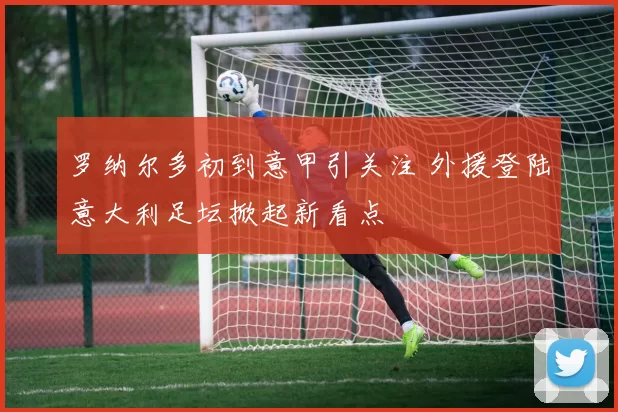 罗纳尔多初到意甲引关注 外援登陆意大利足坛掀起新看点