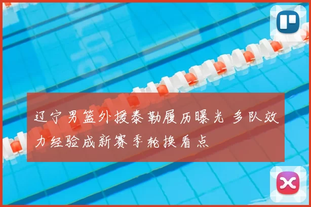 辽宁男篮外援泰勒履历曝光 多队效力经验成新赛季轮换看点