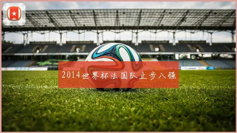 2014世界杯法国队止步八强