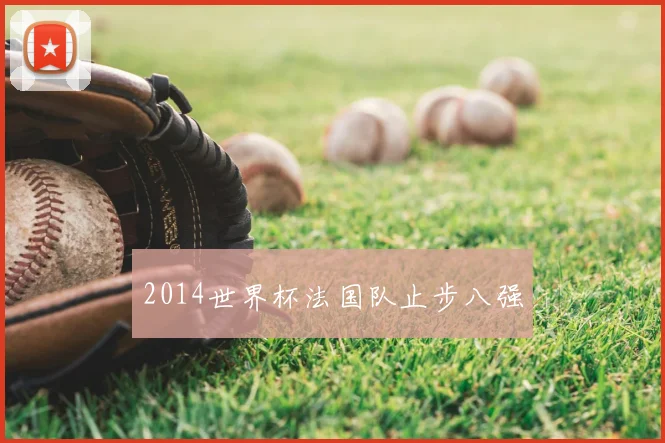 2014世界杯法国队止步八强