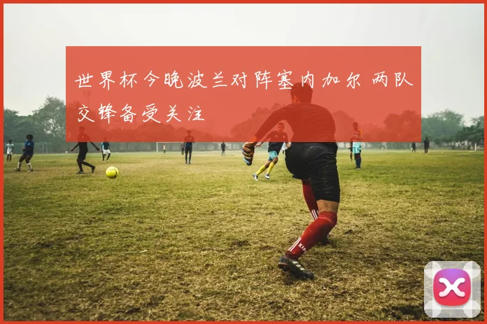 世界杯今晚波兰对阵塞内加尔 两队交锋备受关注